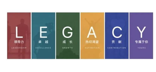 精英教育的代價 32歲女高管培訓課猝死與企業標語的警示