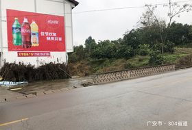 大宇廣告 墻體廣告制作助力企業(yè)開拓雅安農(nóng)村市場